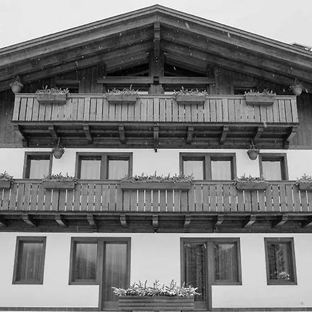 Apartamento Home In Bohinjsko Jezero